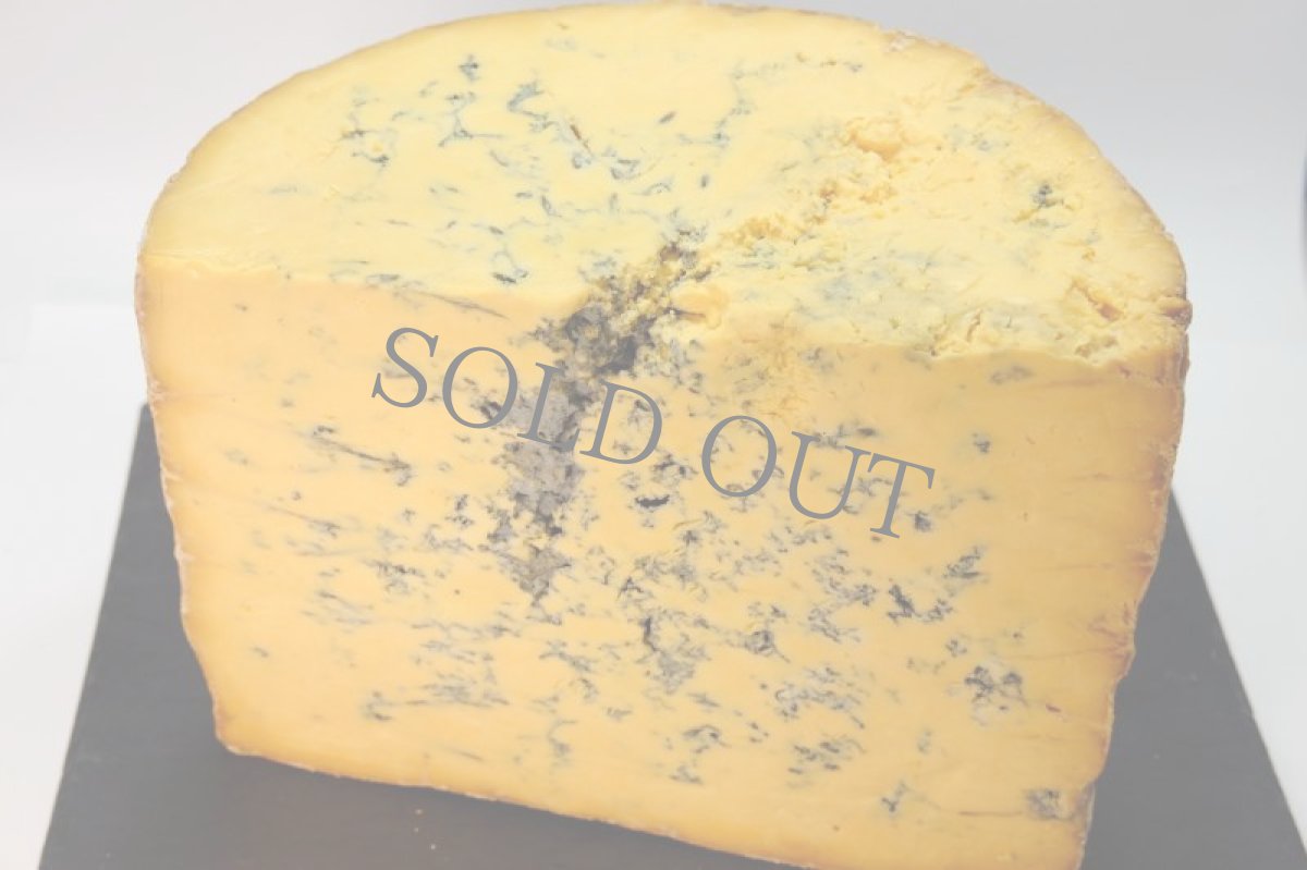 画像1: シュロップシャー コルストン バセット＜SHROPSHIRE COLSTON BASSETT＞ (1)