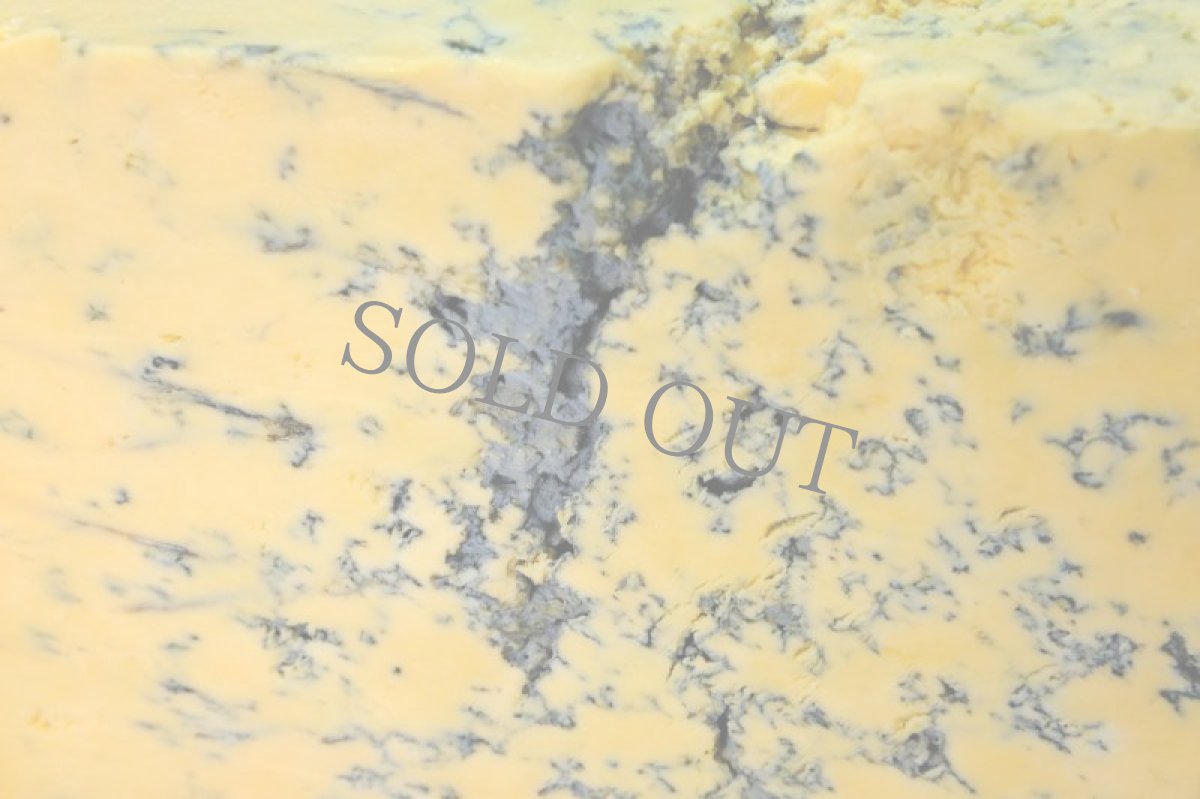 画像2: シュロップシャー コルストン バセット＜SHROPSHIRE COLSTON BASSETT＞ (2)