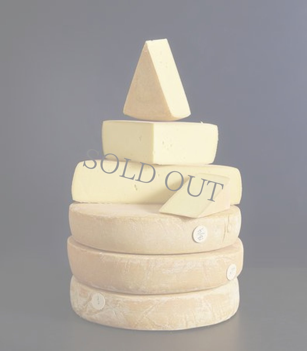 画像4: OGLESHIELD 〜 オグレシールド (4)