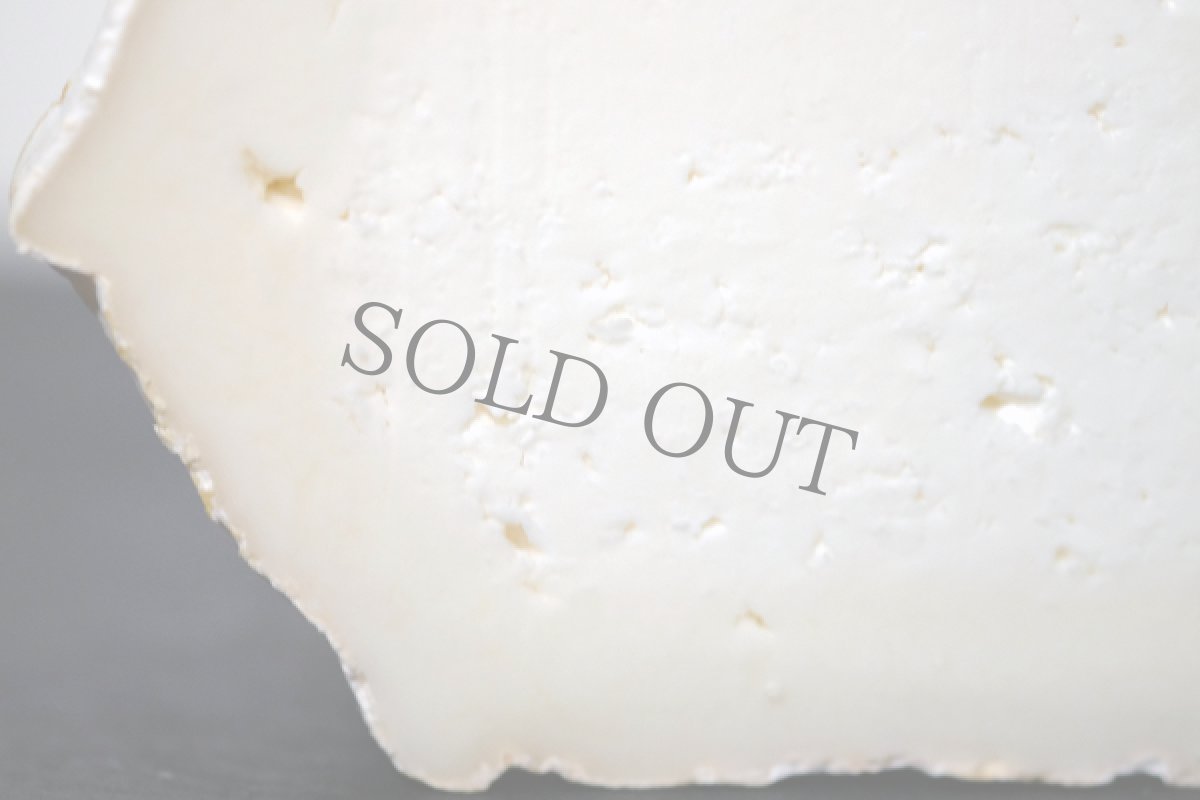 画像2: ティックルモア＜Ticklemore＞ (2)