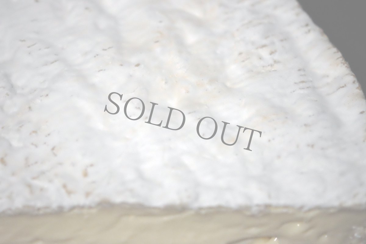 画像3: バロンバイゴット＜ Baron Bigod ＞ (3)