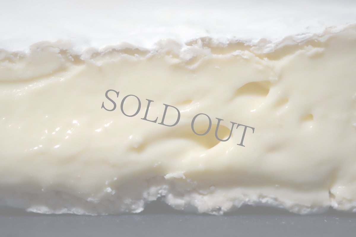 画像2: バロンバイゴット＜ Baron Bigod ＞ (2)