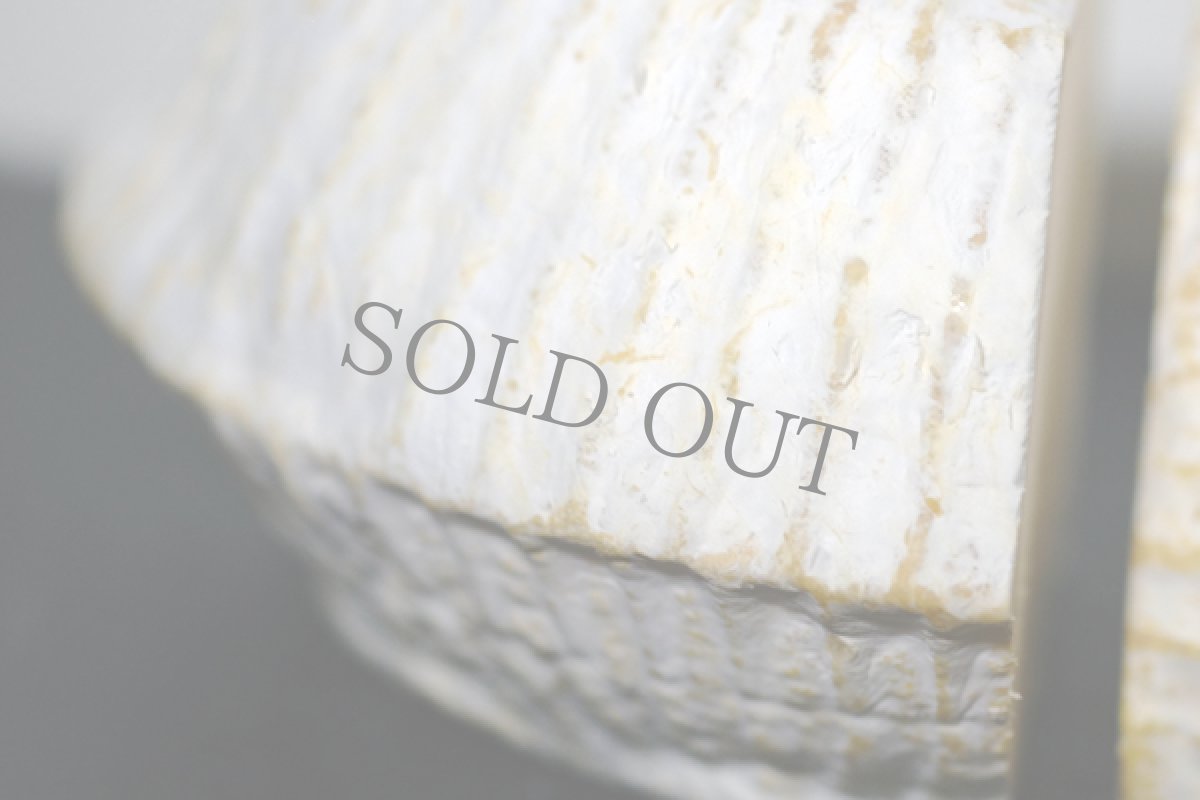 画像3: ティックルモア＜Ticklemore＞ (3)