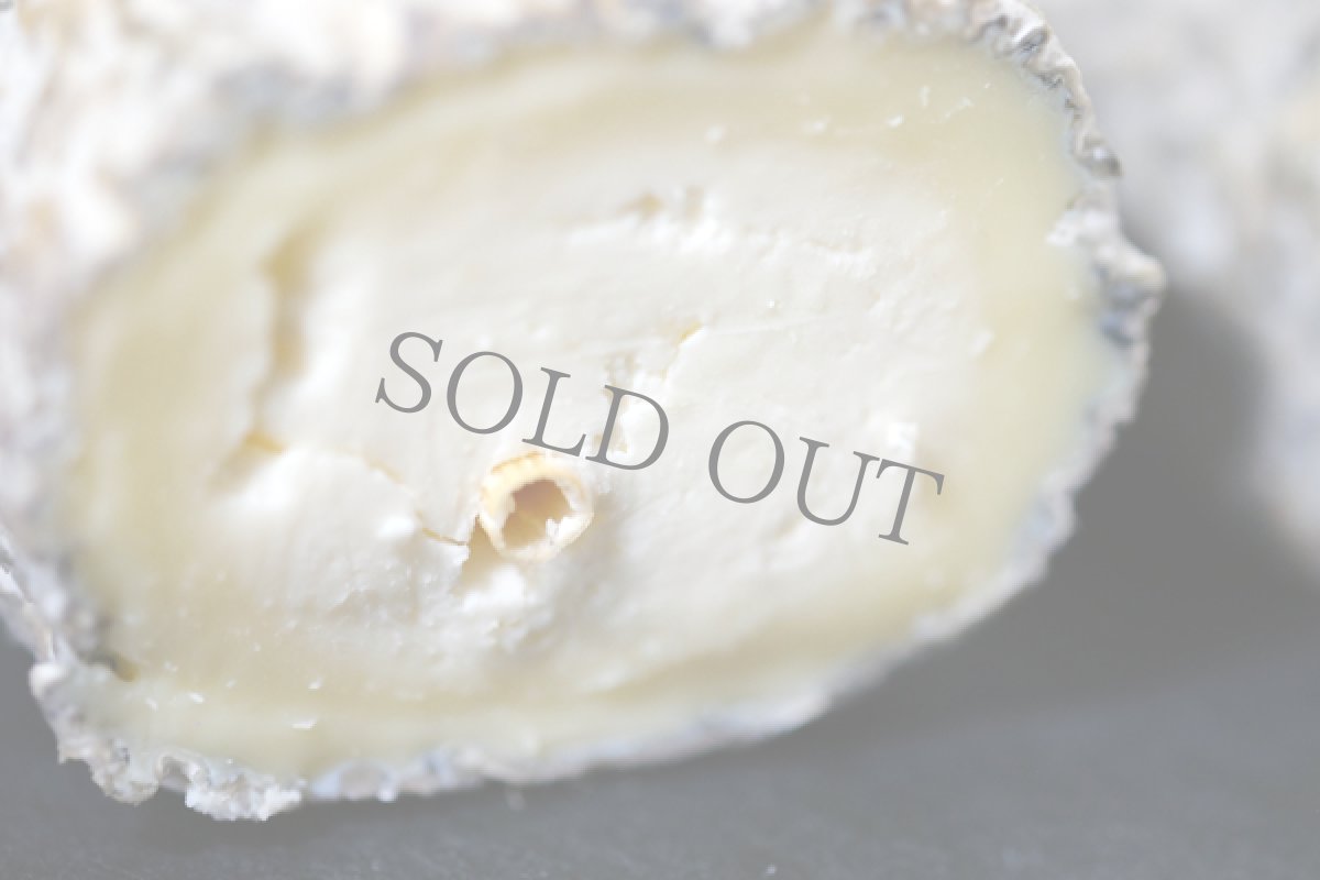 画像2: サントモール ド ロワゼリエ＜STE MAURE DE L’OISELLIERE＞ (2)