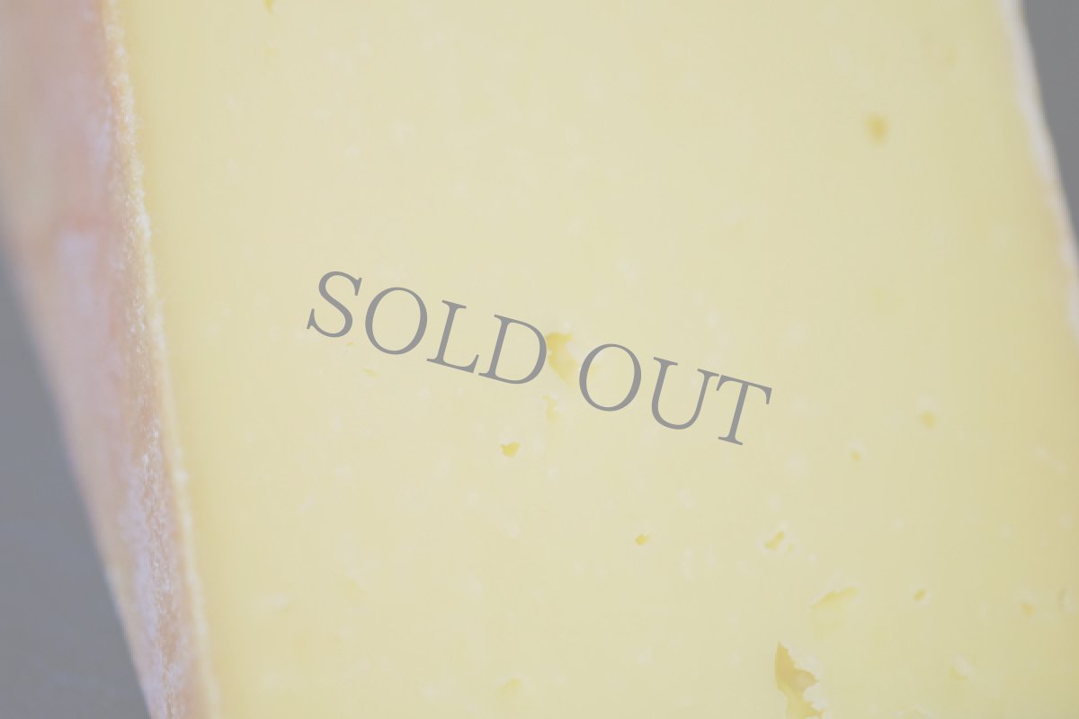 画像2: OGLESHIELD 〜 オグレシールド (2)