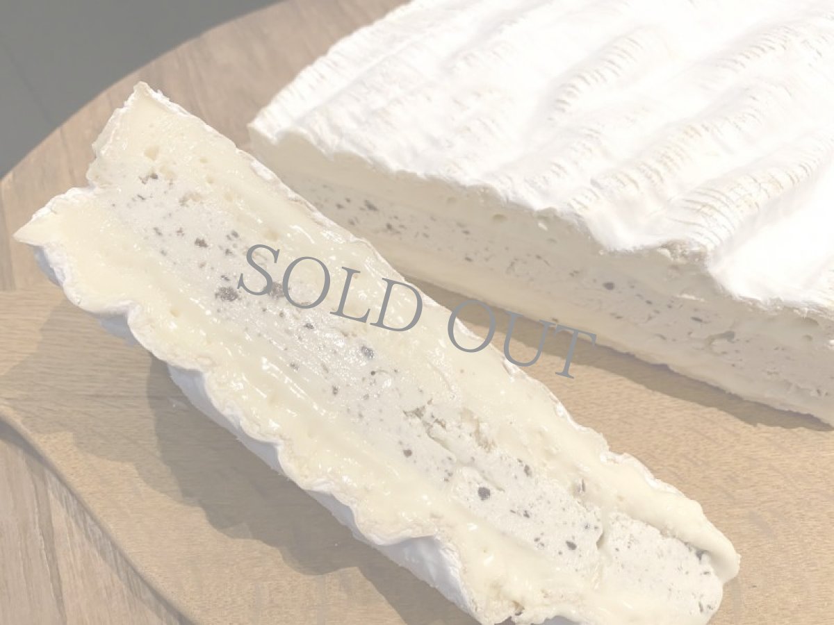 画像2: ブリー・ド・モー・ア・ラ・トリュフ ブロンシュ(白トリュフ) ＜BRIE DE MEAUX A LA TRUFFE BLANCHE＞ (2)