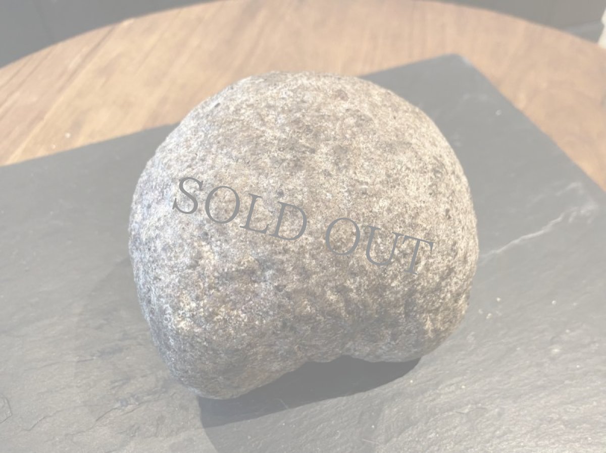 画像2: リコッタ・ディ・アルペッジョ＜RICOTTA DI ALPEGGIO＞ (2)