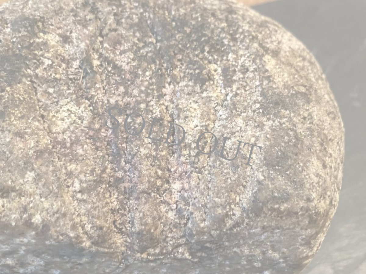 画像3: リコッタ・ディ・アルペッジョ＜RICOTTA DI ALPEGGIO＞ (3)