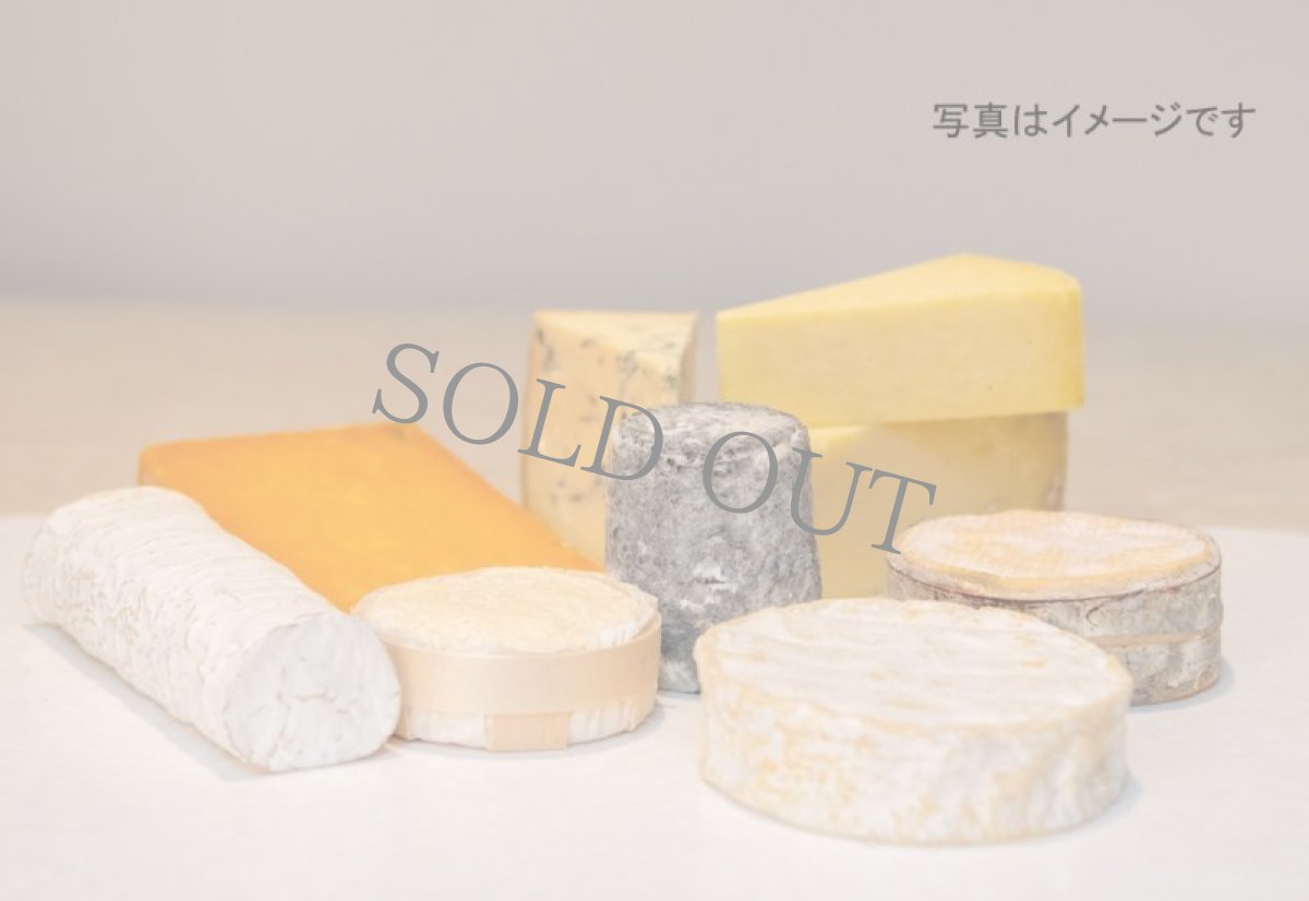 画像2: 《虎ノ門ヒルズ店》5/18(日) マティス可奈子さんとイギリスチーズとワインのペアリング会 (2)