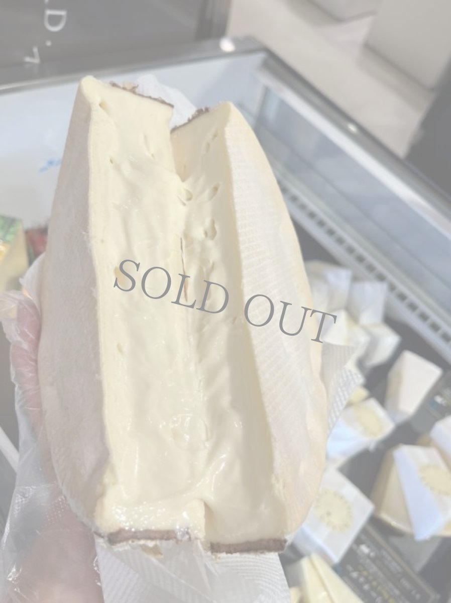 画像2: ロールライト＜ROLLRIGHT＞ (2)