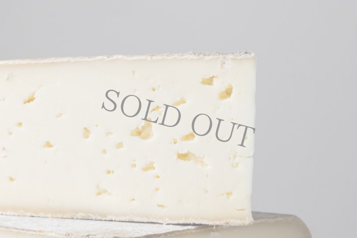 画像2: ラスケーラ＜RASCHERA DOP＞ (2)