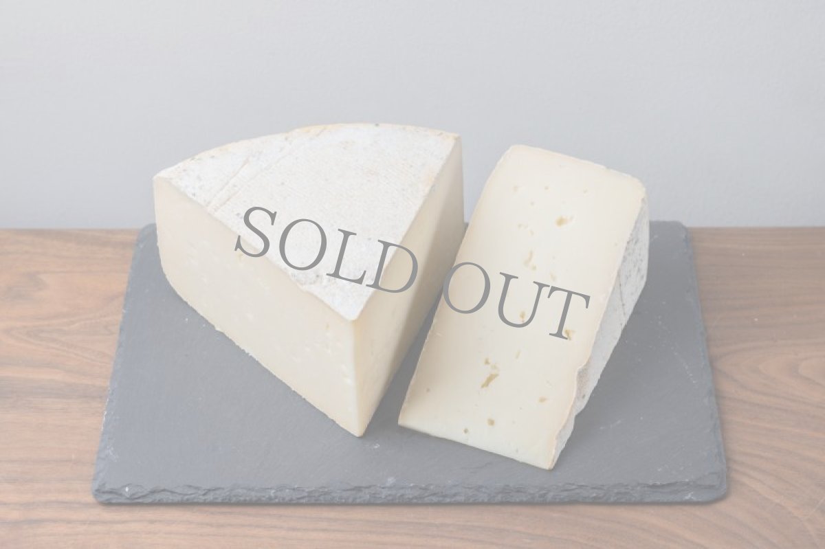 画像3: トーマ・ピエモンテーゼ＜TOMA PIEMONTESE＞ (3)