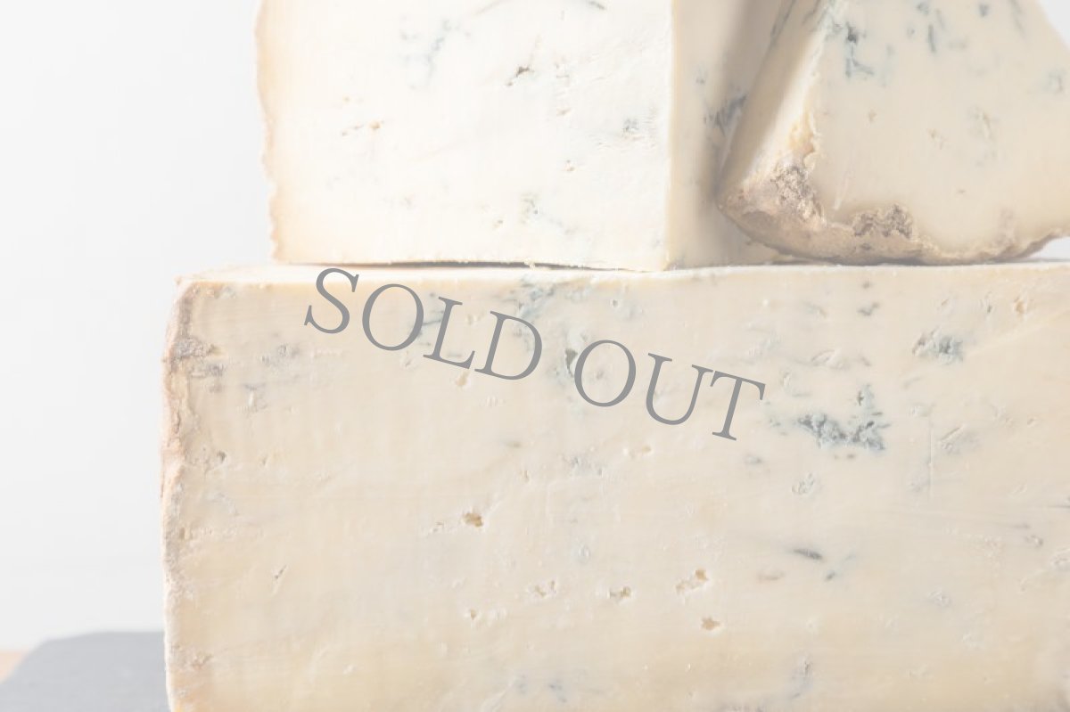 画像2: スティチェルトン＜STICHELTON＞ (2)