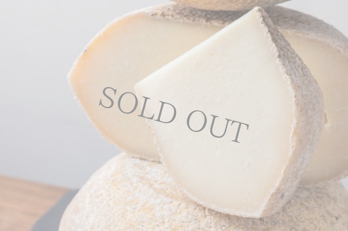 画像2: バークスウェル＜BERKSWELL ＞ (2)