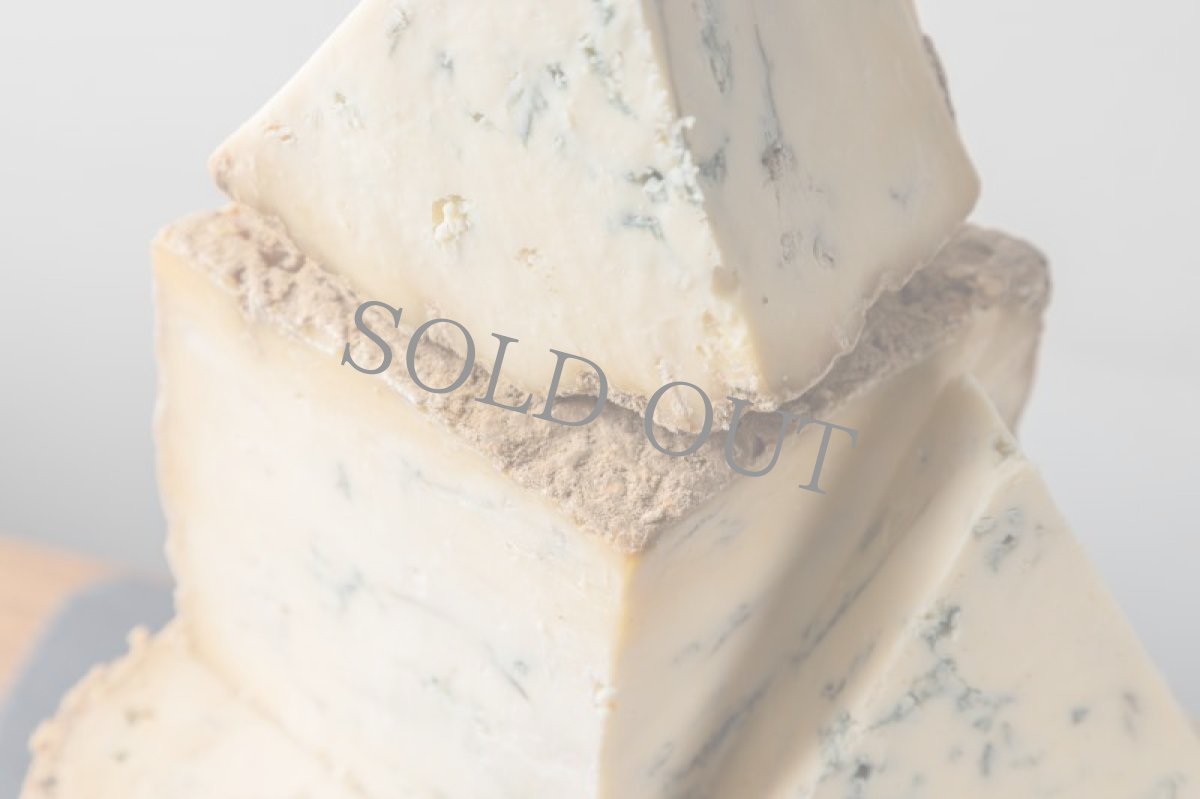 画像3: スティチェルトン＜STICHELTON＞ (3)