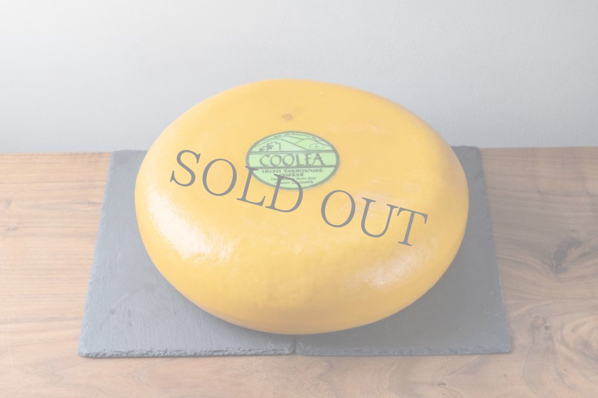 画像2: クーレオ＜COOLEA＞ (2)