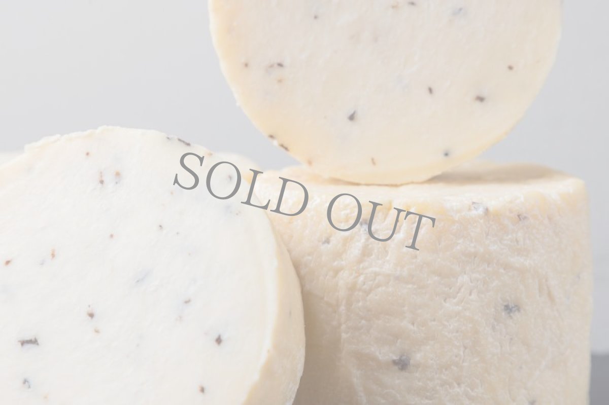 画像2: トリフリン＜TRIFFLINE＞ (2)