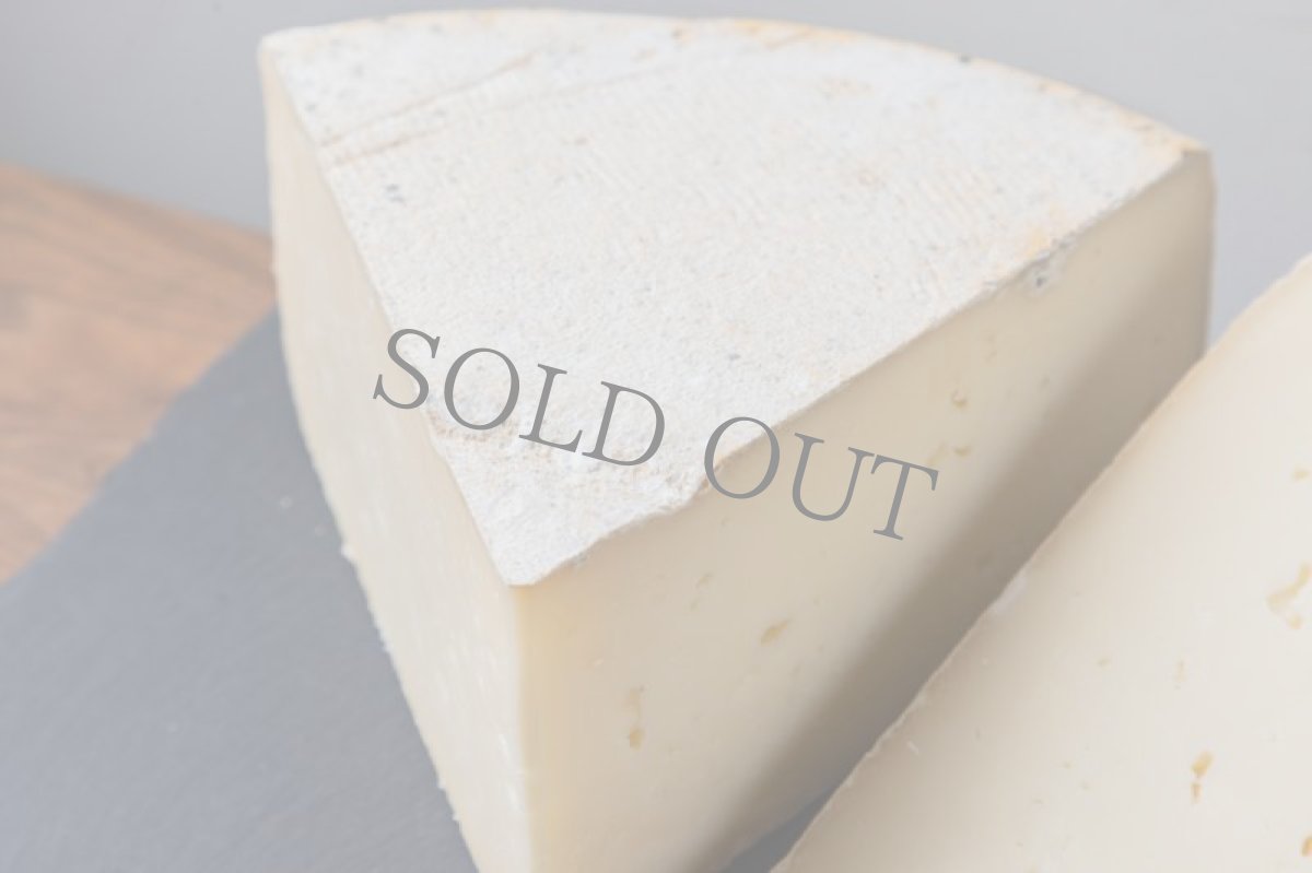 画像2: トーマ・ピエモンテーゼ＜TOMA PIEMONTESE＞ (2)