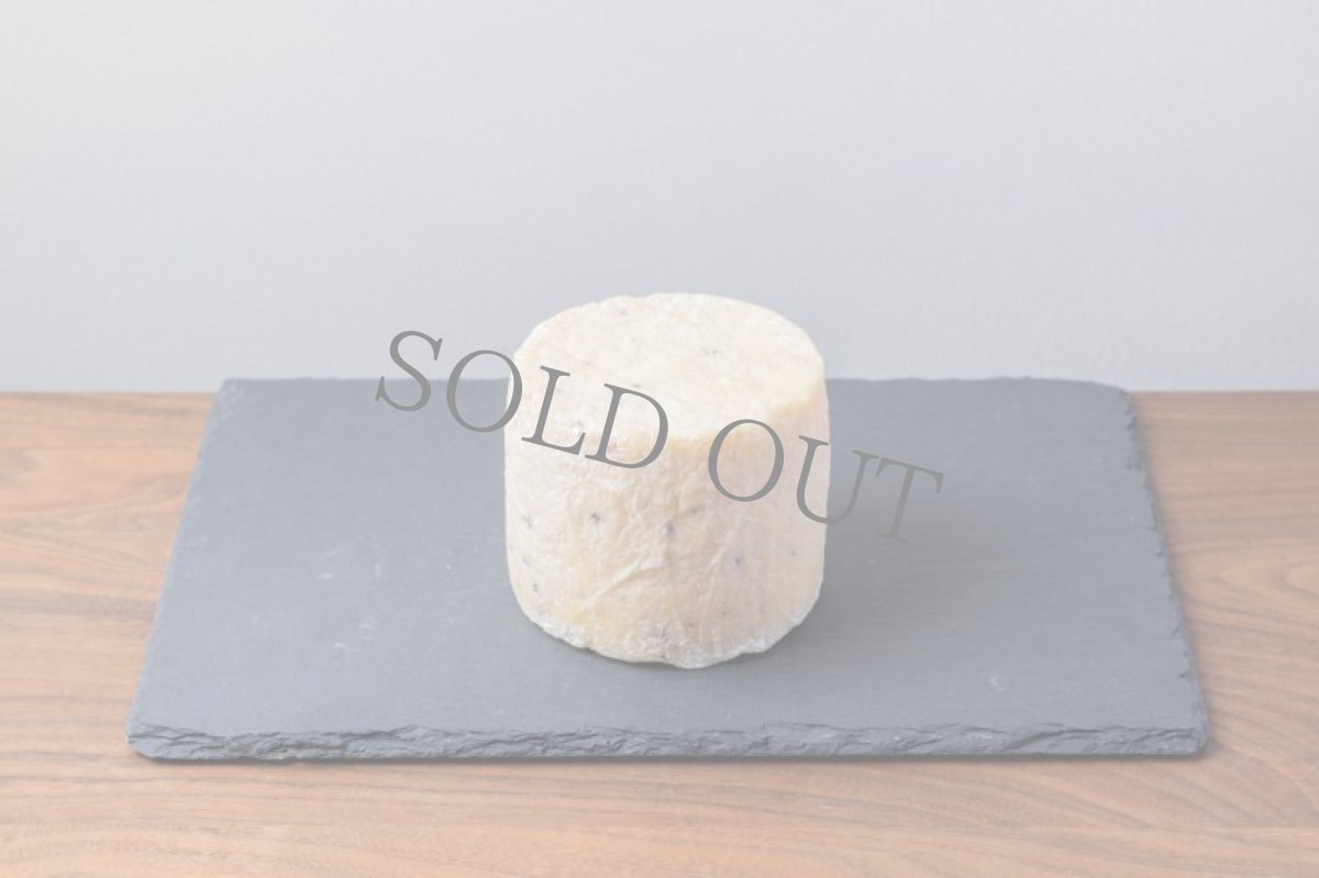 画像3: トリフリン＜TRIFFLINE＞ (3)