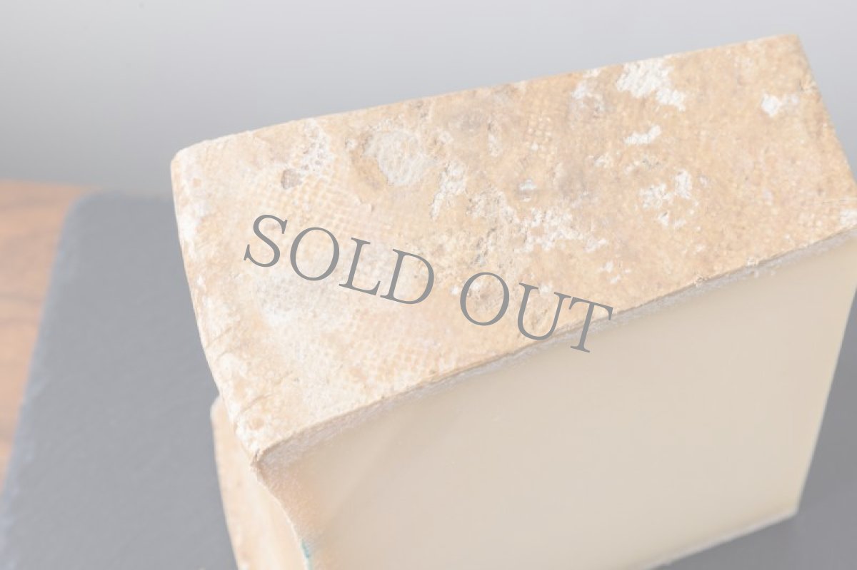 画像4: ボーフォール アルパージュ＜BEAUFORT ALPAGE＞ (4)