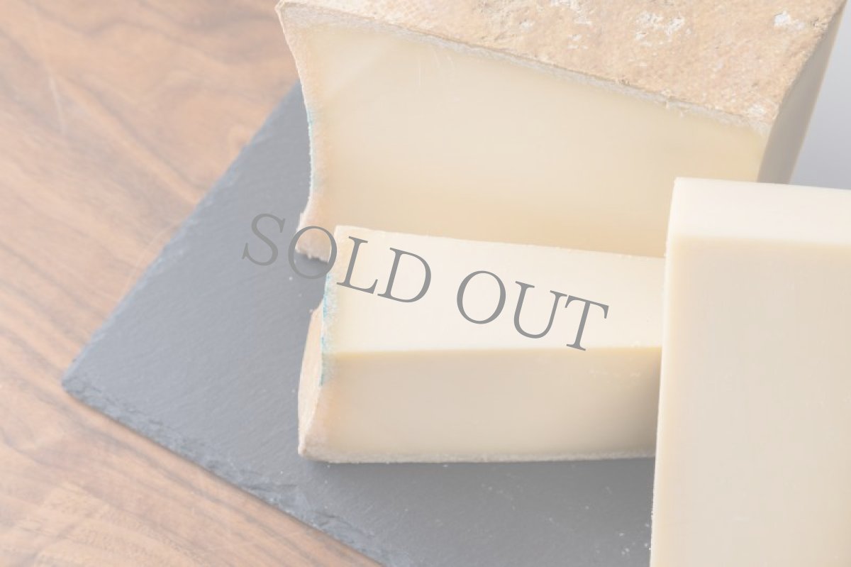 画像2: ボーフォール アルパージュ＜BEAUFORT ALPAGE＞ (2)