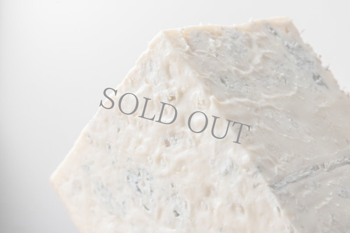 画像2: ゴルゴンゾーラ・クレモーゾ＜GORGONZOLA CREMOSO＞ (2)