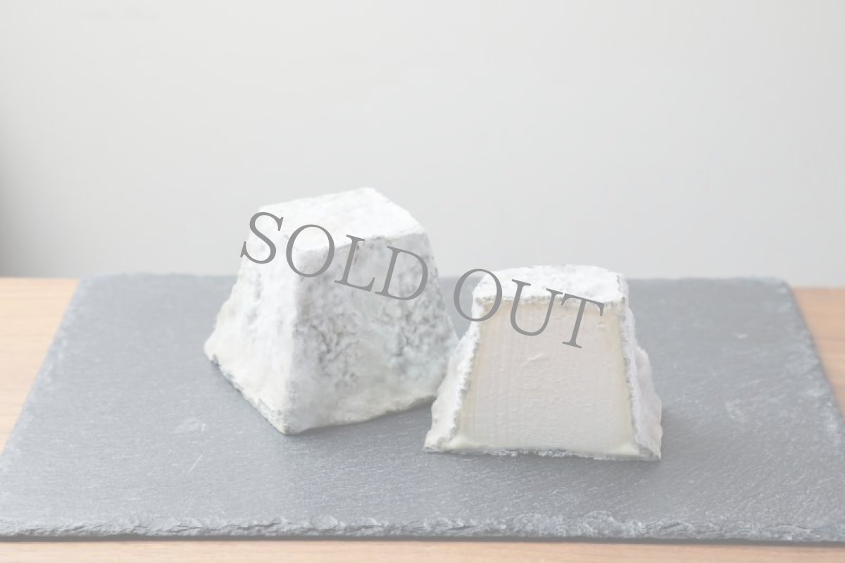 画像2: オーザンヌ サンドレ   (2)