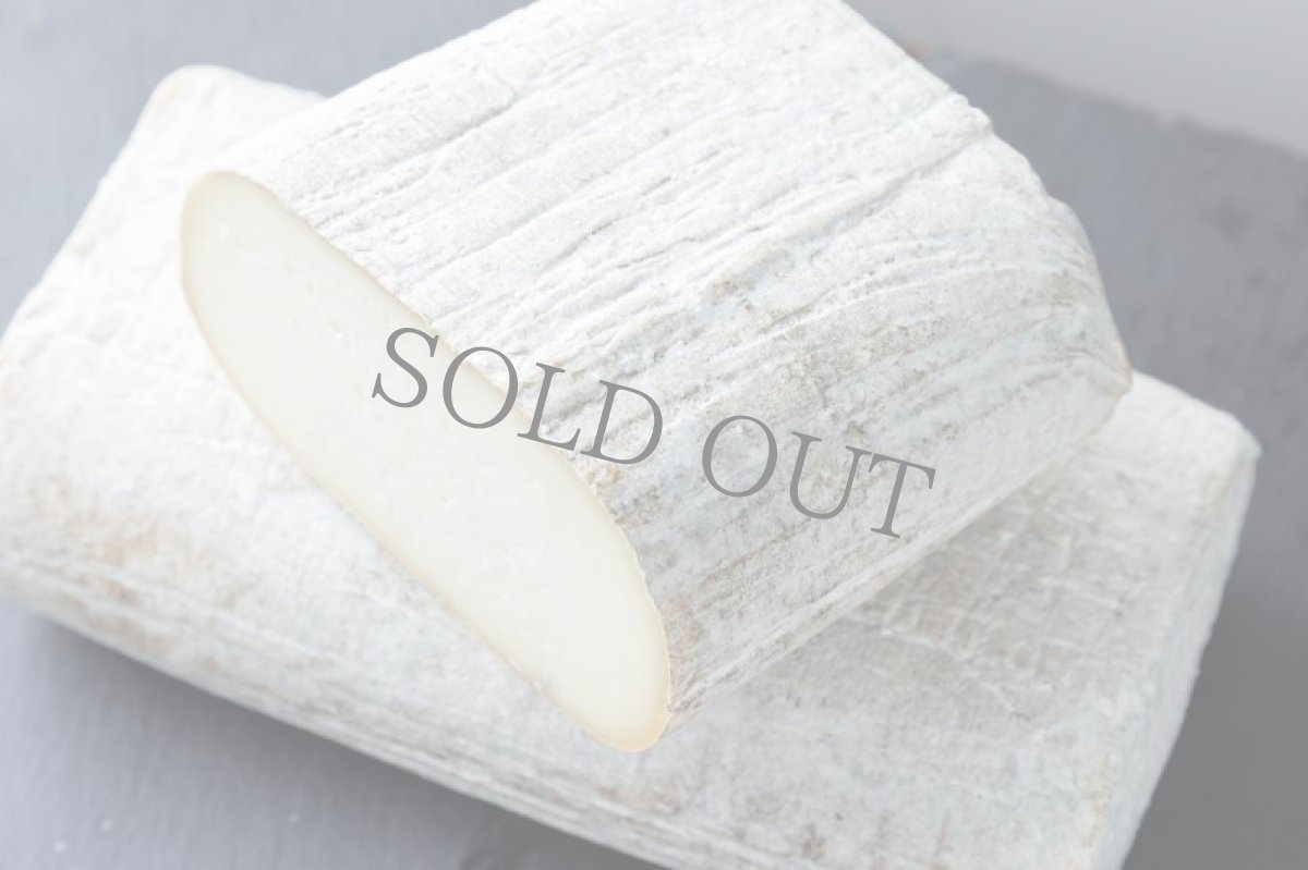 画像2: パタ・デ・ムロ＜PATA DE MULO LOS PAYUELOS＞ (2)