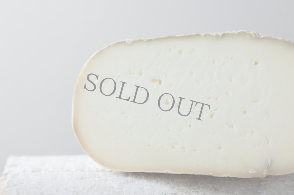 画像3: パタ・デ・ムロ＜PATA DE MULO LOS PAYUELOS＞ (3)