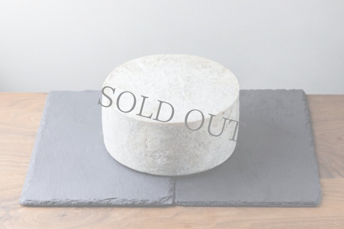 画像2: トゥルファード＜TRUFADO＞ (2)