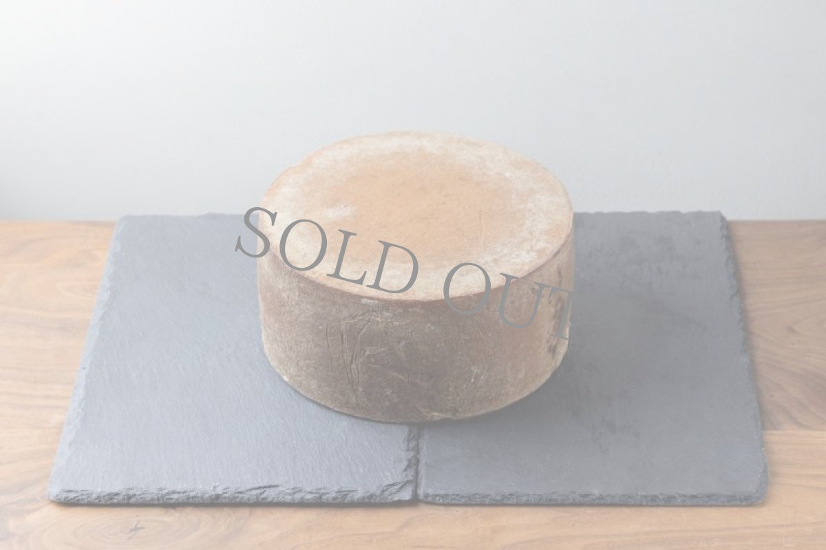 画像2: ウーモ＜HUMO＞ (2)