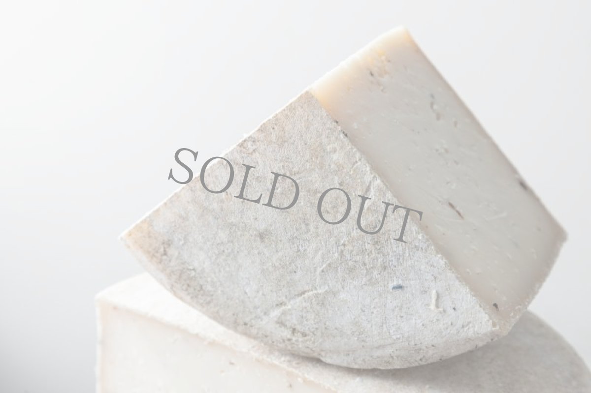 画像3: トゥルファード＜TRUFADO＞ (3)