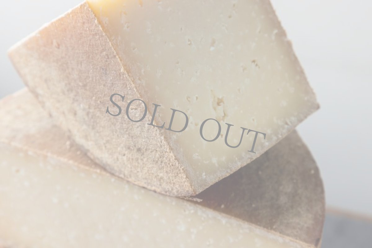 画像5: ウーモ＜HUMO＞ (5)