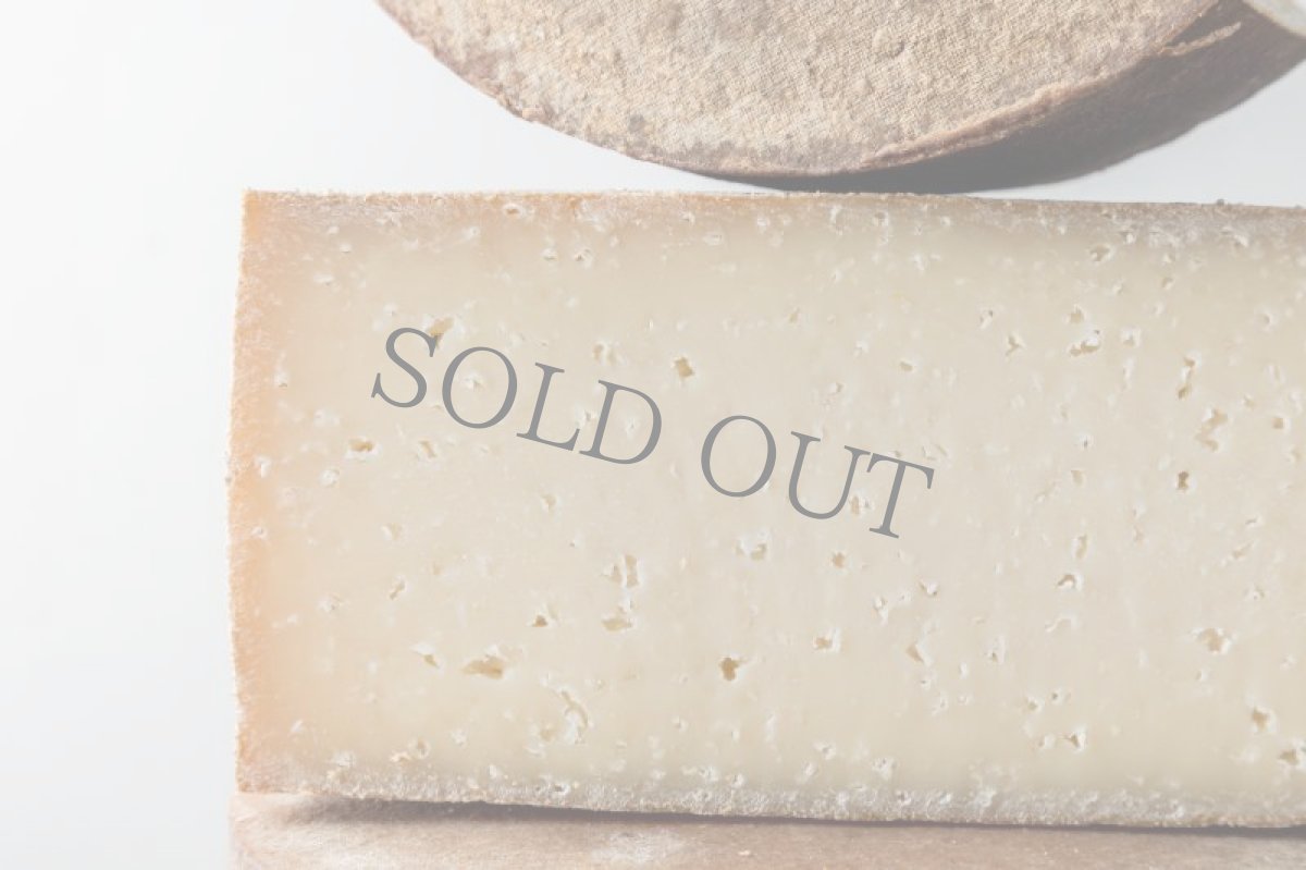 画像4: ウーモ＜HUMO＞ (4)