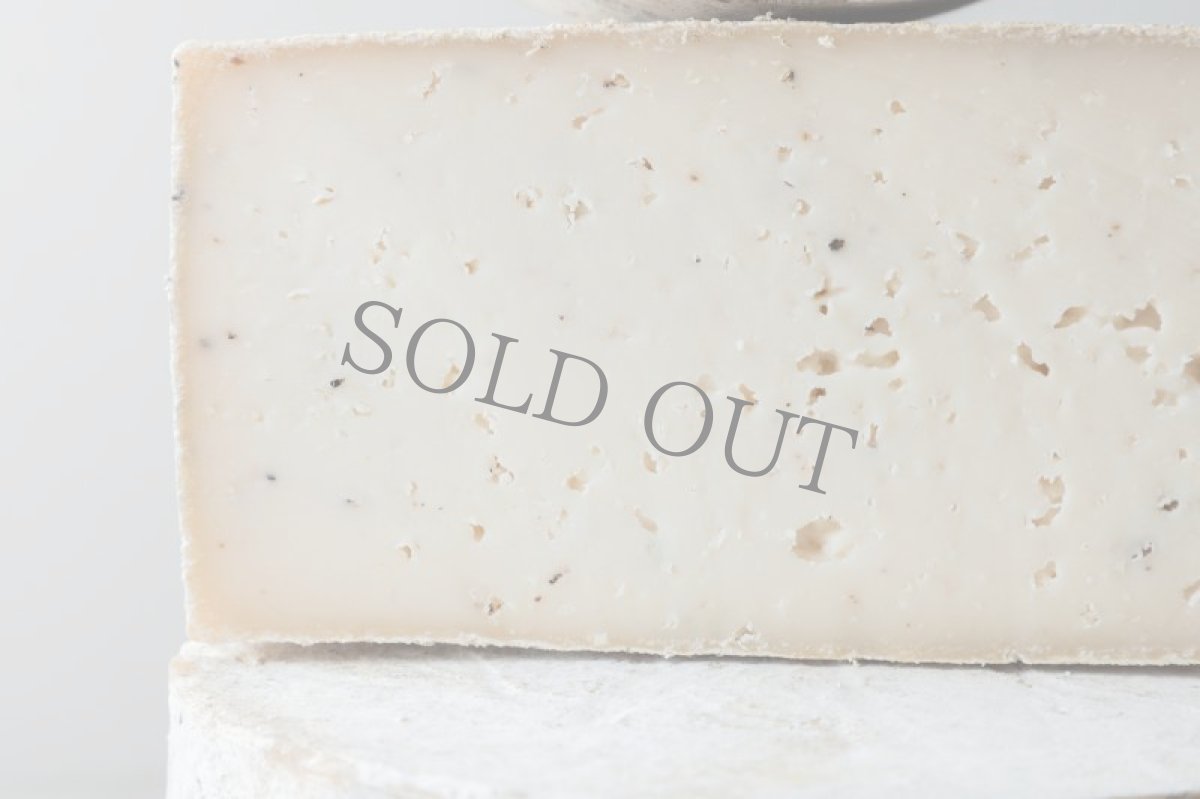 画像4: トゥルファード＜TRUFADO＞ (4)