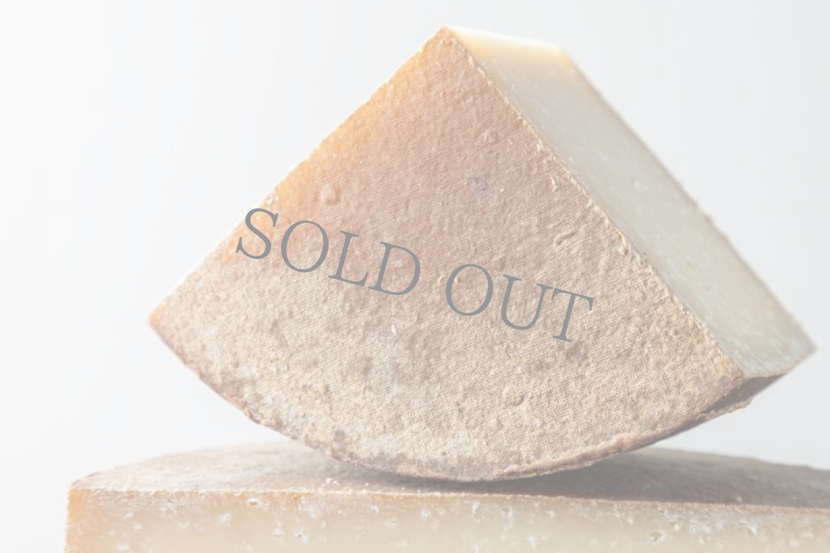 画像3: ウーモ＜HUMO＞ (3)