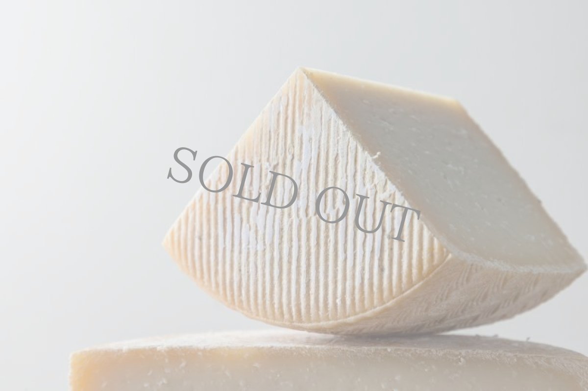 画像3: マンチェゴ・クラードDOP＜MANCHEGO CURADO D.O.P. ＞ (3)