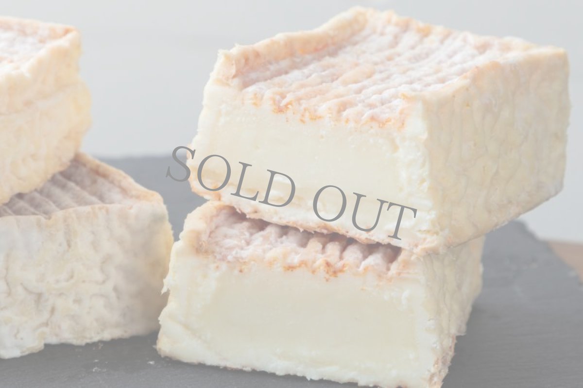 画像2: ホンダル＜JONDAL ＞ (2)