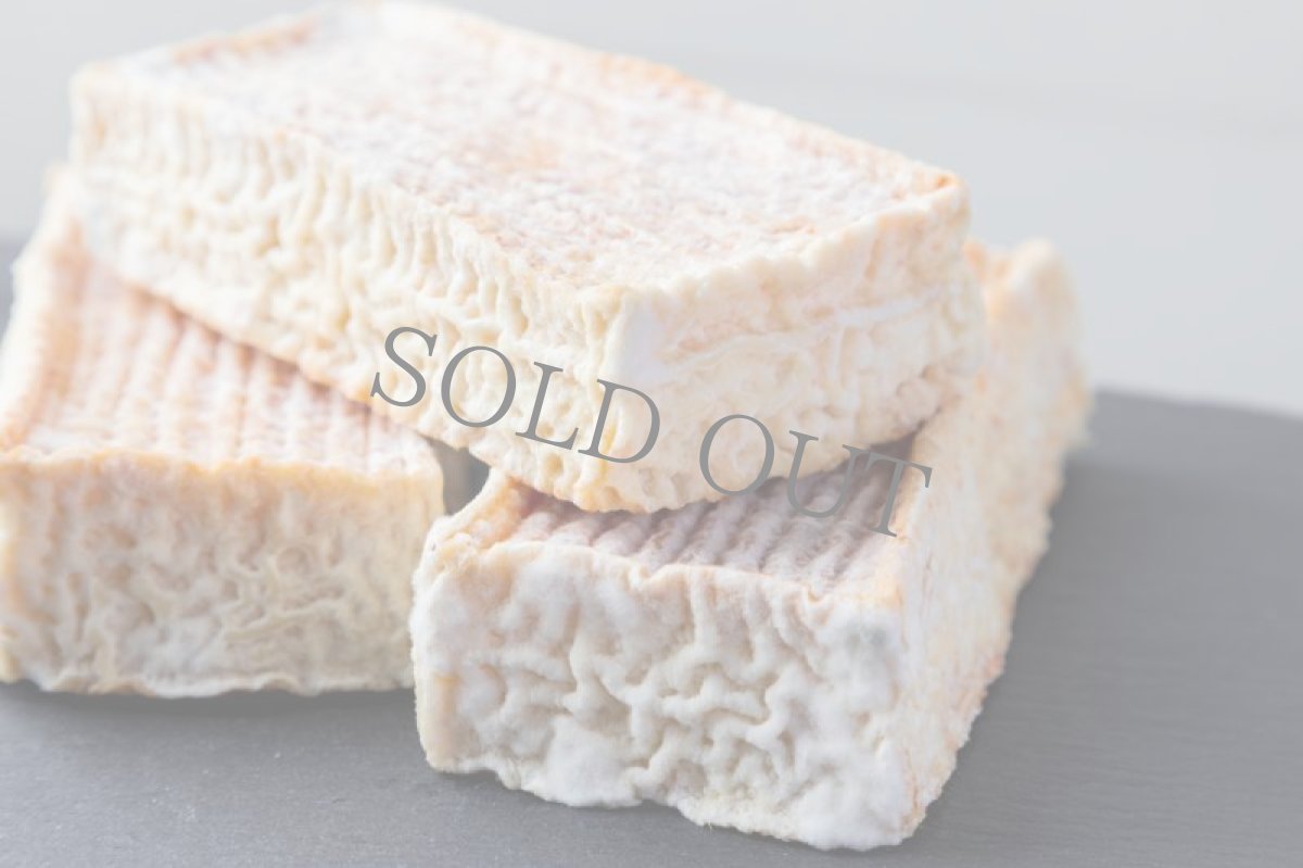 画像3: ホンダル＜JONDAL ＞ (3)