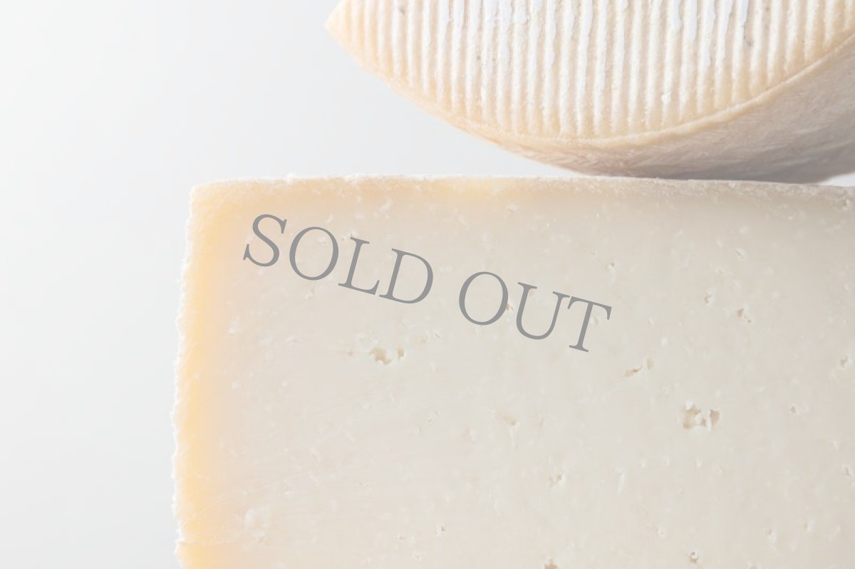 画像2: マンチェゴ・クラードDOP＜MANCHEGO CURADO D.O.P. ＞ (2)