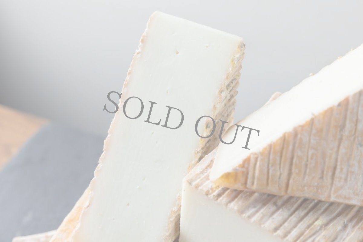 画像2: ディエゴ＜DIEGO＞ (2)