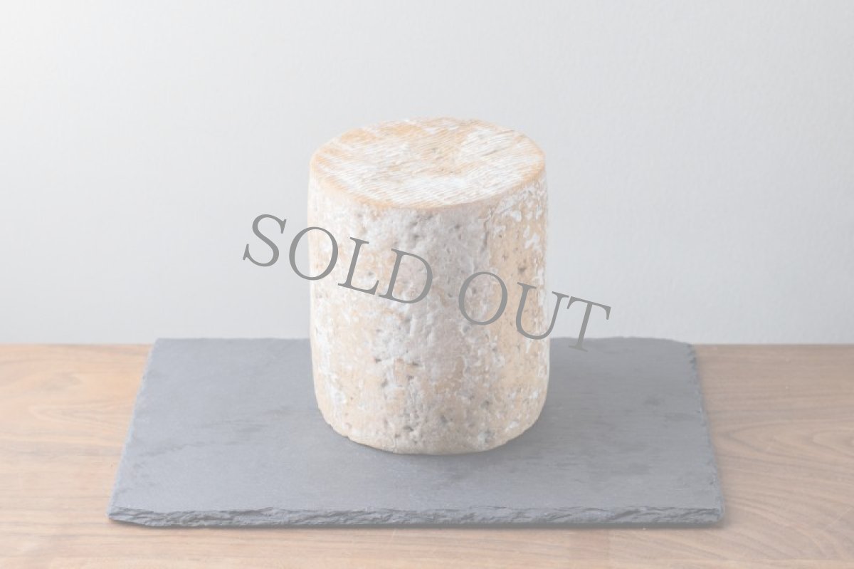 画像4: トレスミル　ビヤサン＜TRESMIL VILLAS?N＞ (4)