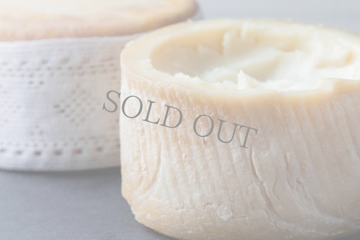 画像3: メスタ＜MESTA＞ (3)