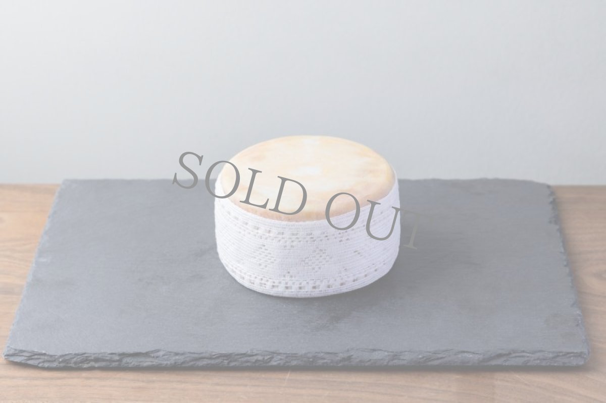 画像4: メスタ＜MESTA＞ (4)