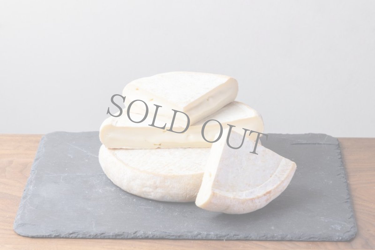 画像5: 《虎ノ門ヒルズ店》2月25日(日) LAMMAS チーズ＆ワイン ペアリング会 (5)