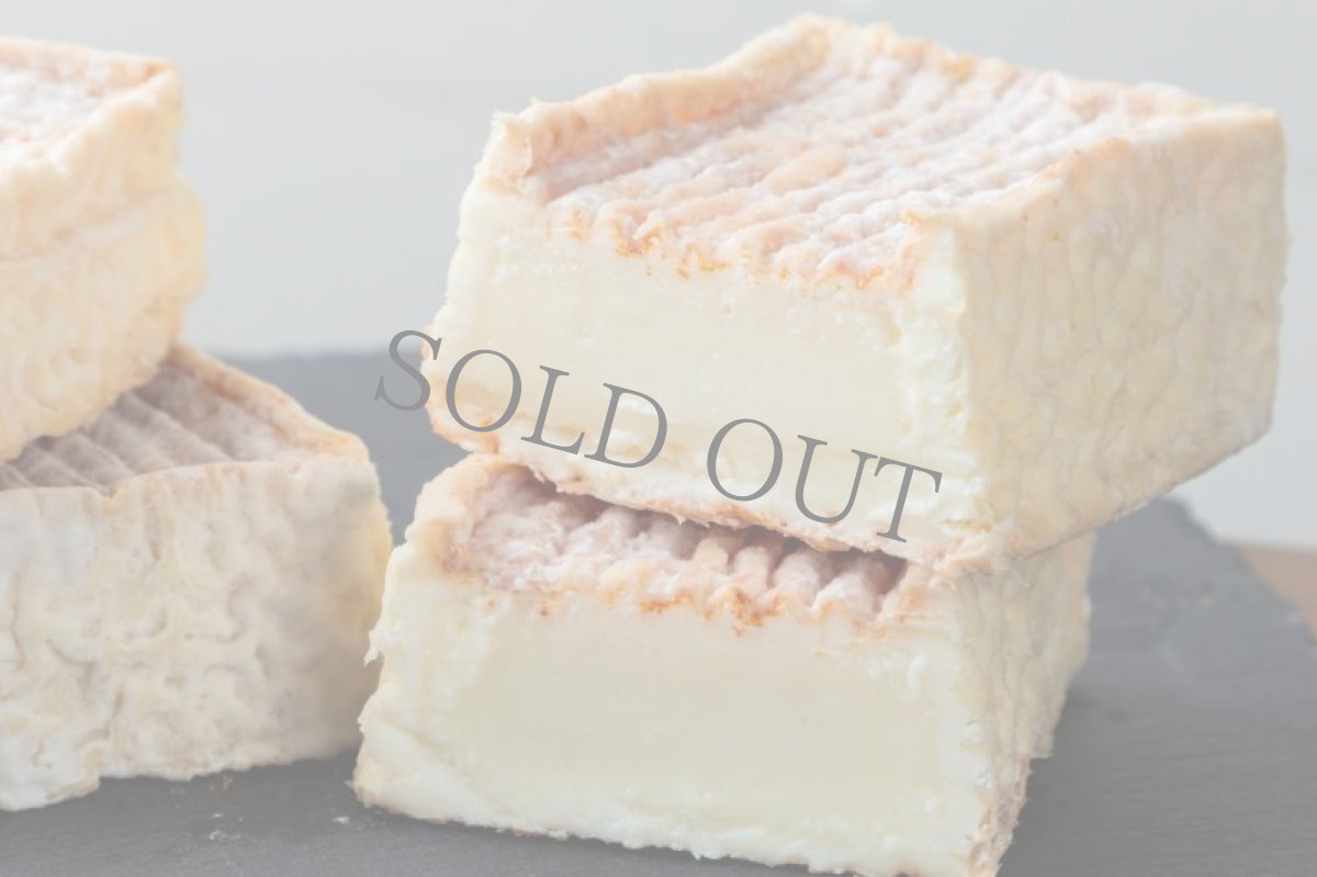 画像3: 《虎ノ門ヒルズ店》2月25日(日) LAMMAS チーズ＆ワイン ペアリング会 (3)