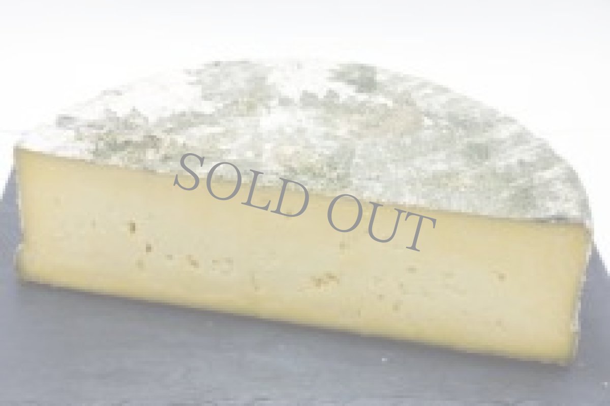 画像4: 《虎ノ門ヒルズ店》2月25日(日) LAMMAS チーズ＆ワイン ペアリング会 (4)