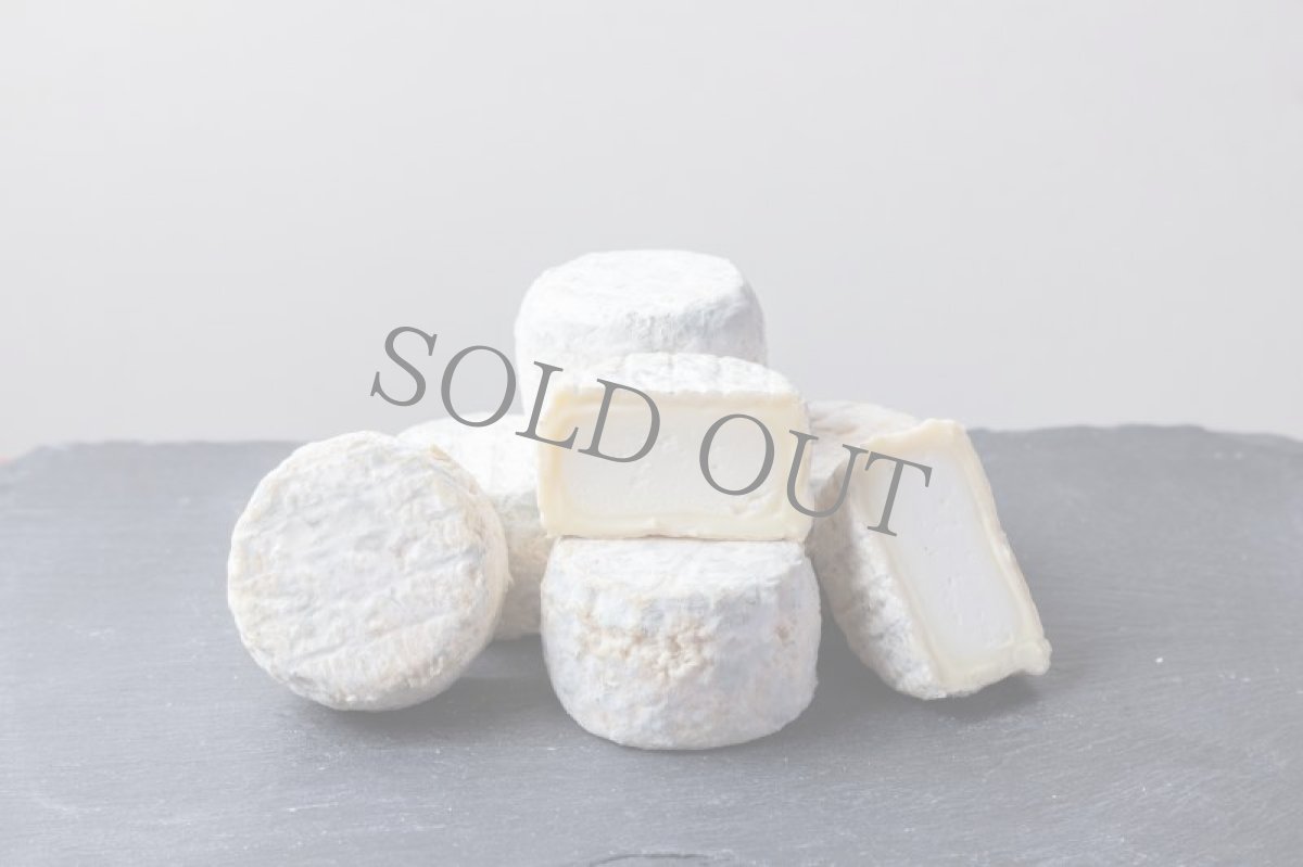 画像3: 《虎ノ門ヒルズ店》3月24日(日) LAMMAS チーズ＆ワイン ペアリング会 (3)