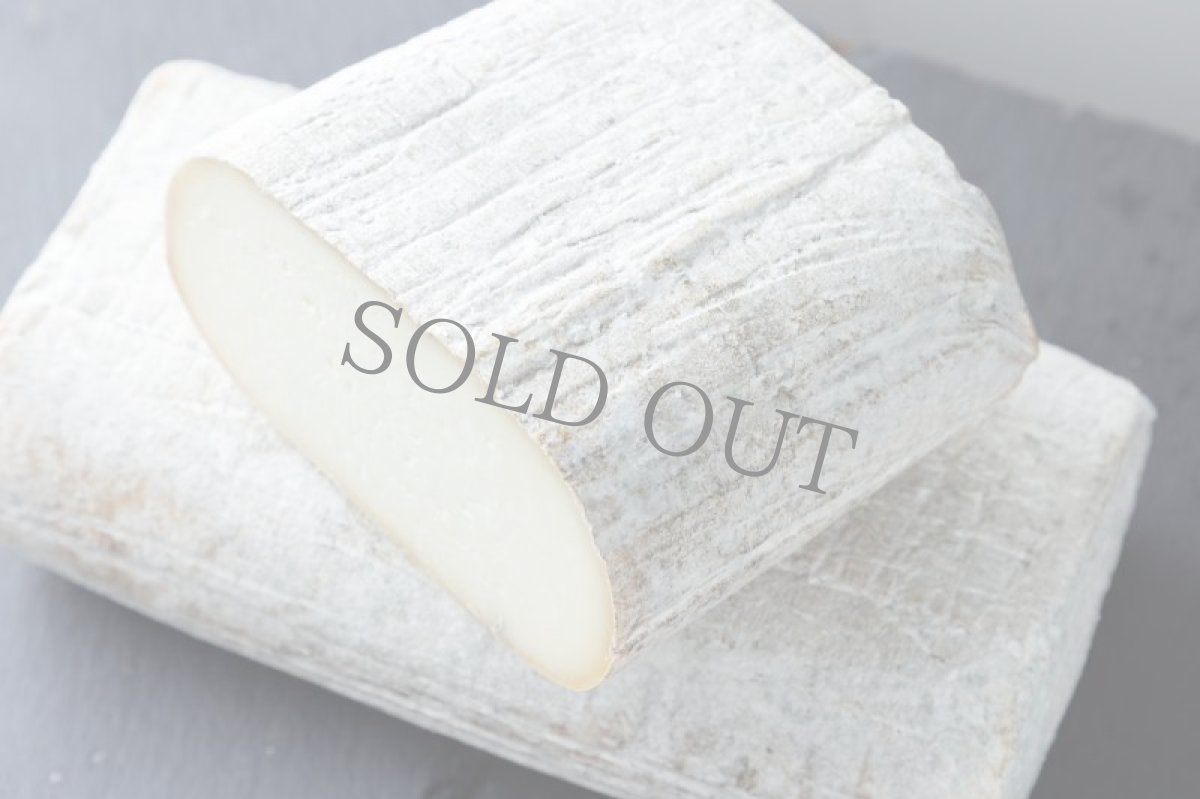 画像5: 《虎ノ門ヒルズ店》3月24日(日) LAMMAS チーズ＆ワイン ペアリング会 (5)