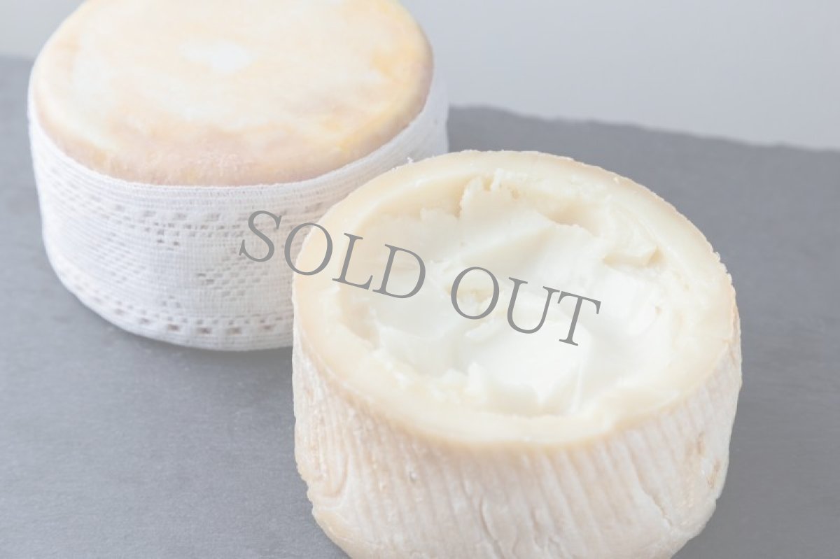 画像2: 《虎ノ門ヒルズ店/一般試食試飲会》4月6日(土) ~ノンナアンドシディ試飲試食会~ (2)